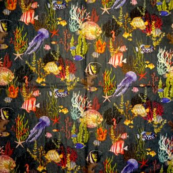 161 Fische - 3-lagig